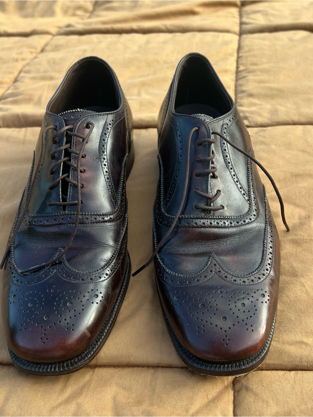 Carroll & Co Beverly Hills Burgundy Wingtip Brogue Lace Up Oxfords Size 8